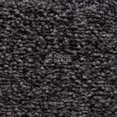 Ковролин AW Masquerade Lucrezia 99 фото 1 | FLOORDEALER